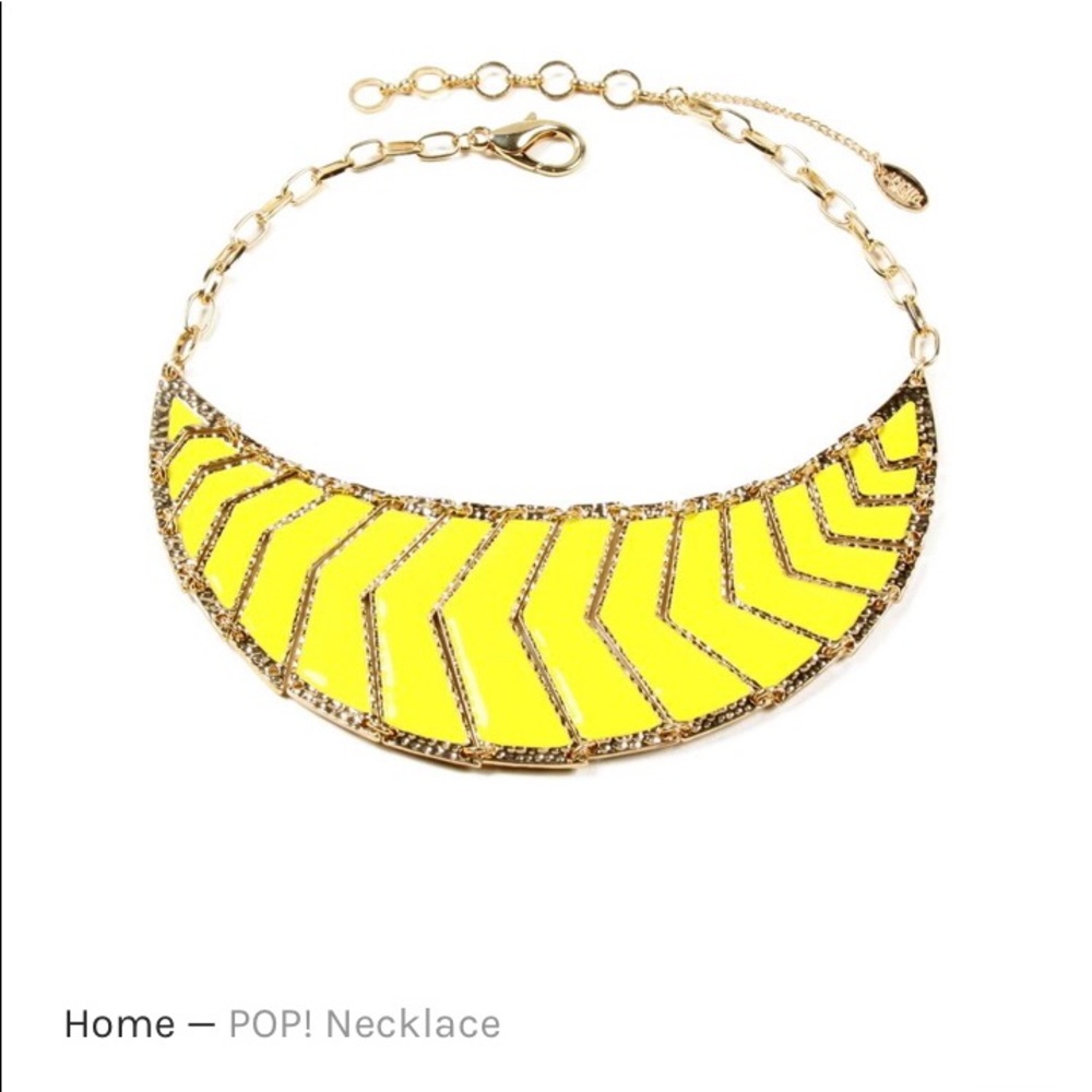 Amrita Singh Pop! Necklace